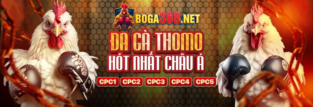 Tải xuống ứng dụng 23win01 chính thức